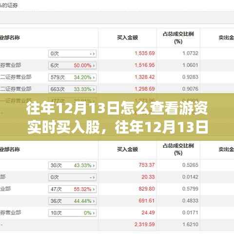 往年12月13日游资实时买入股查看指南,深度评测与介绍