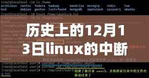 历史上的12月13日,Linux中断实时性的深度研究及评测