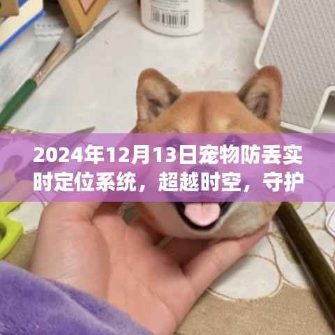 超越时空的守护,2024年宠物防丢实时定位系统的启示与成长之路
