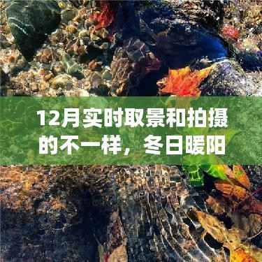 接连不断 第4页