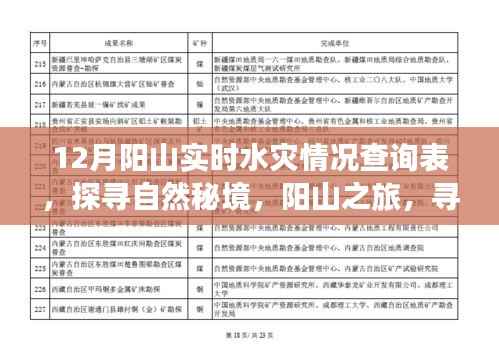 探寻自然秘境,阳山之旅遭遇水灾,实时情况查询与内心力量的寻找