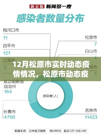 松原市实时动态疫情监控,科技守护下的安全防线