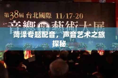 菏泽专题配音，声音艺术之旅探秘
