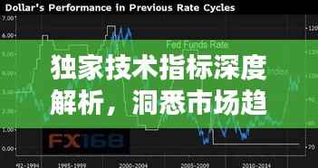 独家技术指标深度解析，洞悉市场趋势的关键秘籍