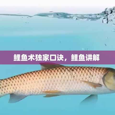 鲤鱼术独家口诀,鲤鱼讲解
