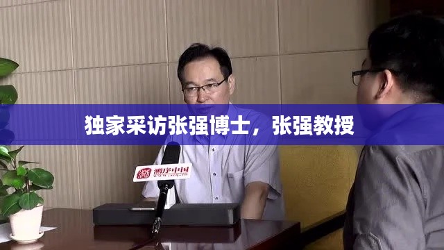 独家采访张强博士,张强教授