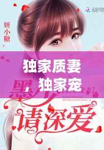 独家质妻,独家宠妻