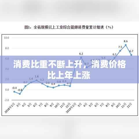 消费比重不断上升,消费价格比上年上涨