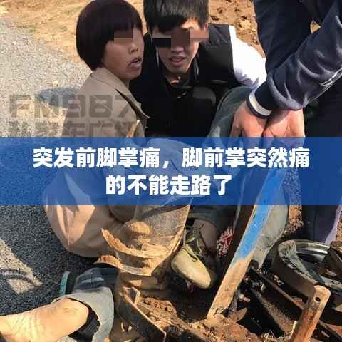 虫书鸟篆 第3页