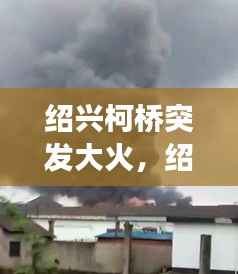 乌鸟之情 第2页