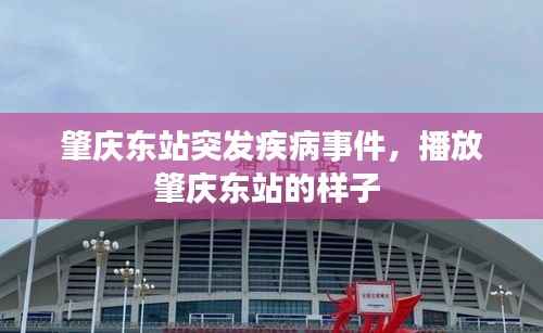 肇庆东站突发疾病事件，播放肇庆东站的样子 