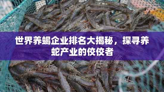 世界养蝎企业排名大揭秘，探寻养蛇产业的佼佼者