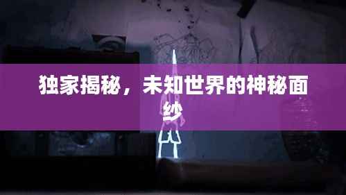 独家揭秘,未知世界的神秘面纱