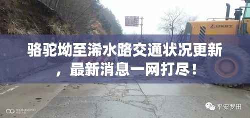 骆驼坳至浠水路交通状况更新，最新消息一网打尽！