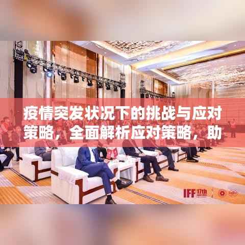 疫情突发状况下的挑战与应对策略，全面解析应对策略，助力应对危机！