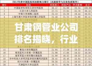 甘肃钢管业公司排名揭晓，行业影响力榜单重磅出炉！