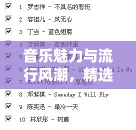 音乐魅力与流行风潮，精选十大必听热门歌曲榜单