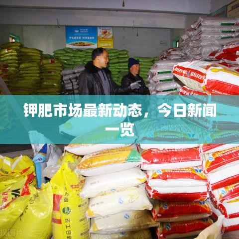 钾肥市场最新动态,今日新闻一览