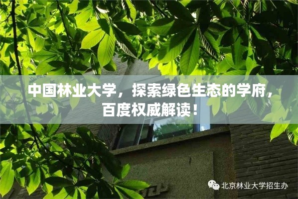 中国林业大学,探索绿色生态的学府,百度权威解读!