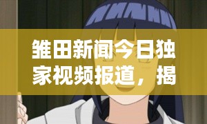 雏田新闻今日独家视频报道,揭秘最新动态