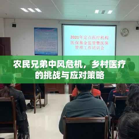 农民兄弟中风危机,乡村医疗的挑战与应对策略