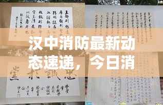 汉中消防最新动态速递,今日消息一网打尽!