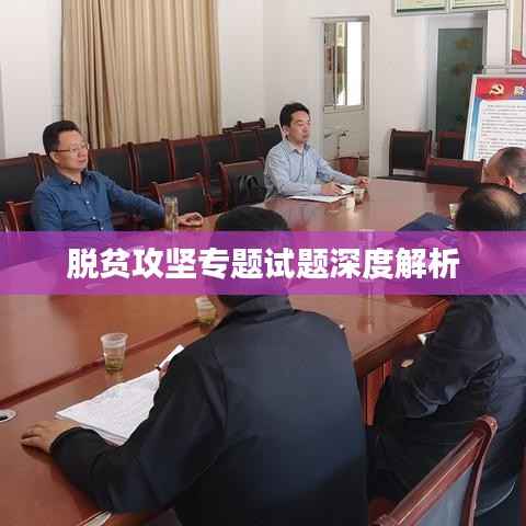 脱贫攻坚专题试题深度解析