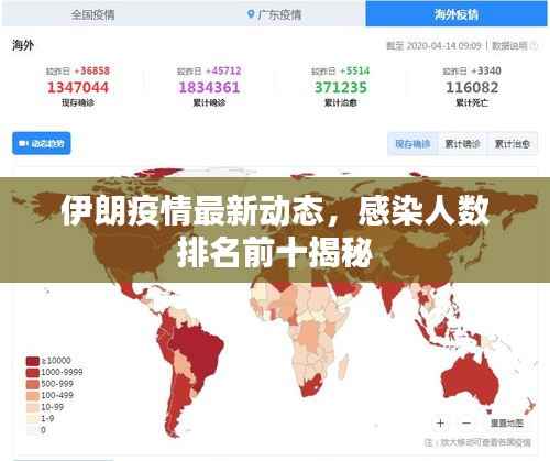伊朗疫情最新动态，感染人数排名前十揭秘