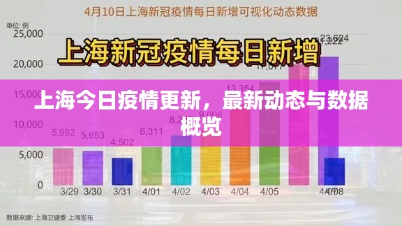 上海今日疫情更新,最新动态与数据概览