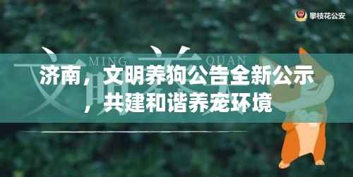 济南，文明养狗公告全新公示，共建和谐养宠环境