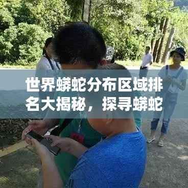 世界蟒蛇分布区域排名大揭秘,探寻蟒蛇栖息地的奥秘