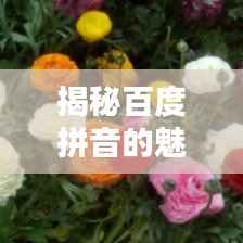 揭秘百度拼音的魅力，一键探索全面精准的拼音查询