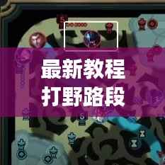 最新教程打野路段升级攻略,带你飞速成长之路!