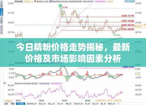 今日精粉价格走势揭秘，最新价格及市场影响因素分析