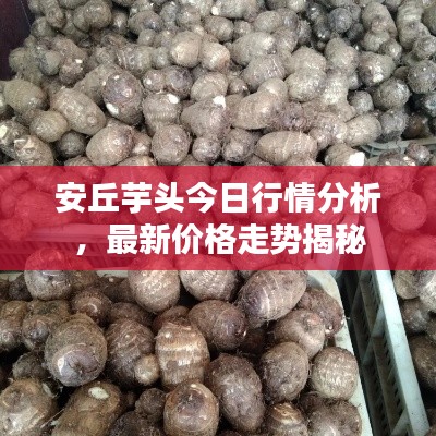 高谈阔论 第2页
