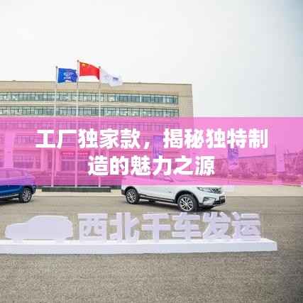 工厂独家款,揭秘独特制造的魅力之源