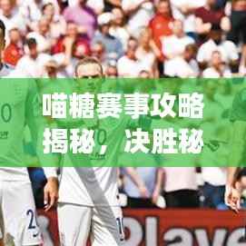 喵糖赛事攻略揭秘,决胜秘诀助你轻松夺冠!