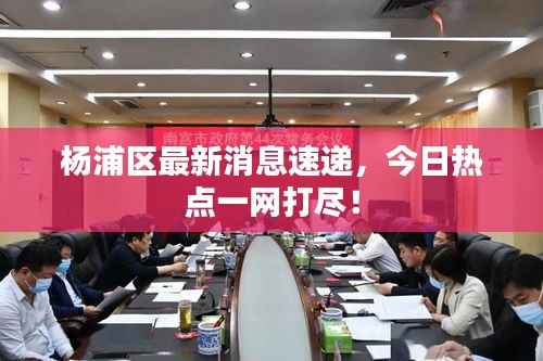 杨浦区最新消息速递,今日热点一网打尽!