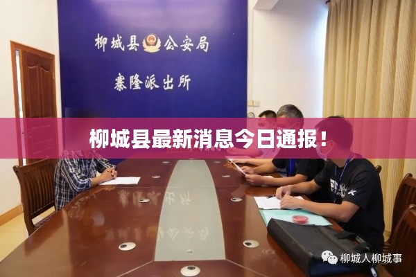 柳城县最新消息今日通报!