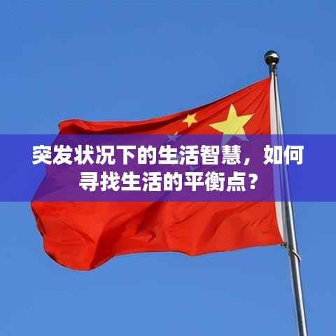 突发状况下的生活智慧,如何寻找生活的平衡点?