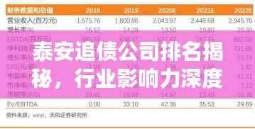 泰安追债公司排名揭秘,行业影响力深度解析