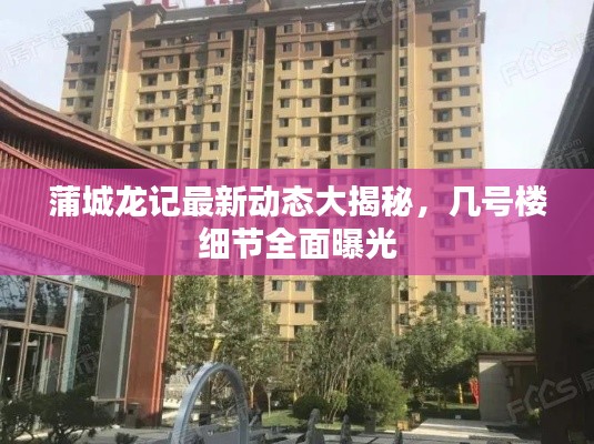 蒲城龙记最新动态大揭秘，几号楼细节全面曝光
